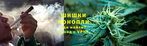 индика Медногорск