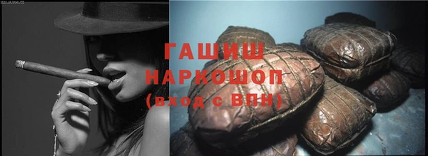индика Медногорск