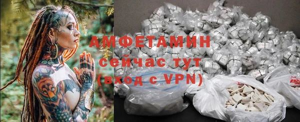 индика Медногорск