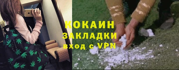 индика Медногорск