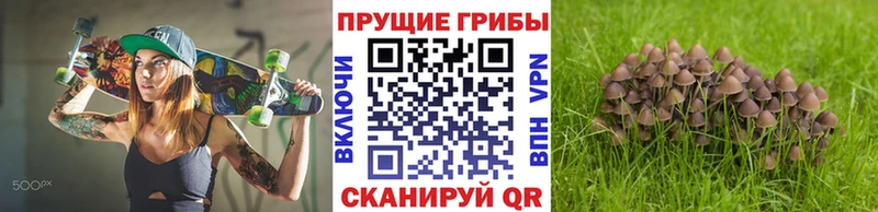 Купить закладки  Куса  Псилоцибиновые грибы ЛСД 