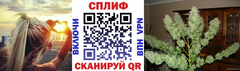 Купить закладки  Куса  Бошки марихуана AK-47 